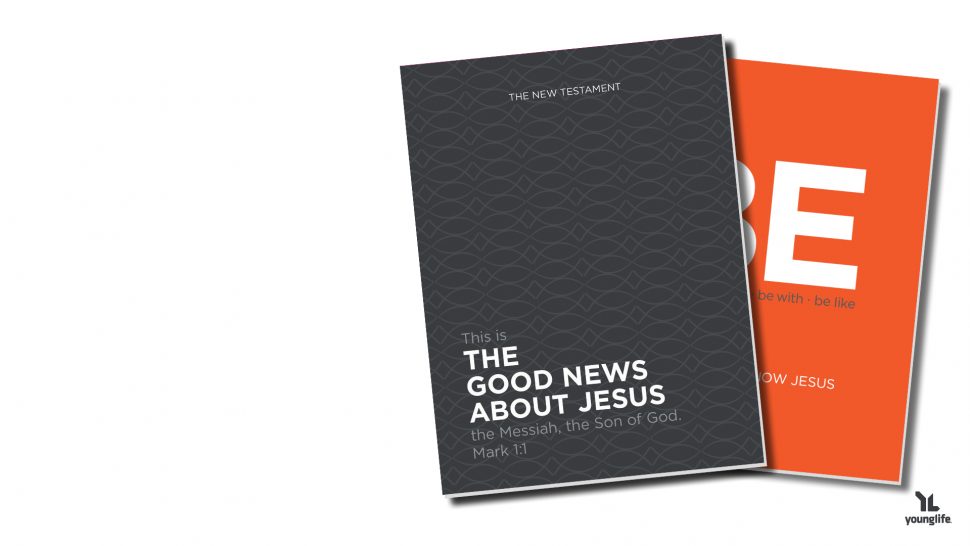 image of the New Testament and the BE book
