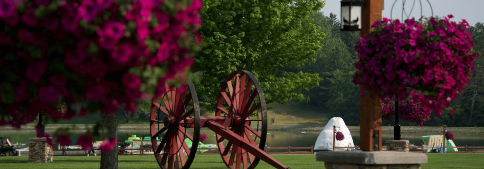 Image of May Day Zero header