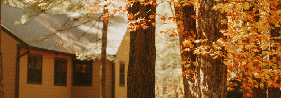image of October Day Zero email header